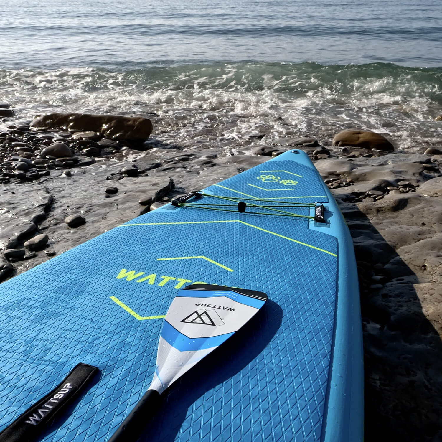 sup whale sur la plage